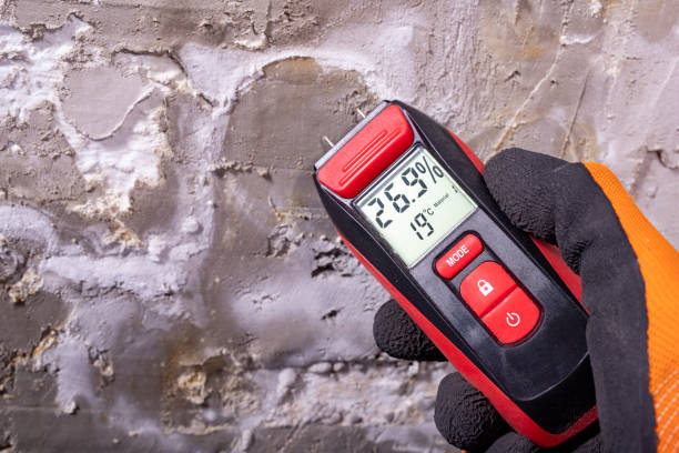 Best Crawl Space Mold Removal  in Nassau Bay, TX