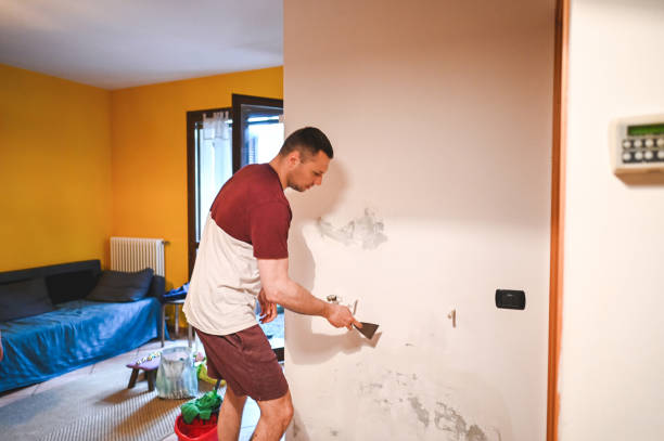 Best Mold Testing  in Nassau Bay, TX