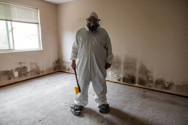 Best Mold Testing and Removal  in Nassau Bay, TX